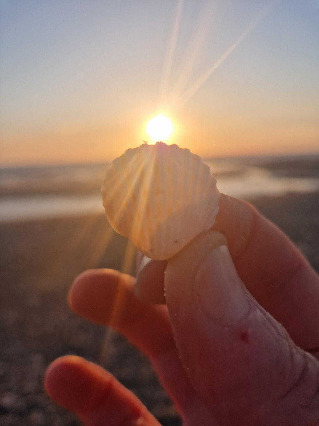 In Search of a Wild Tonic