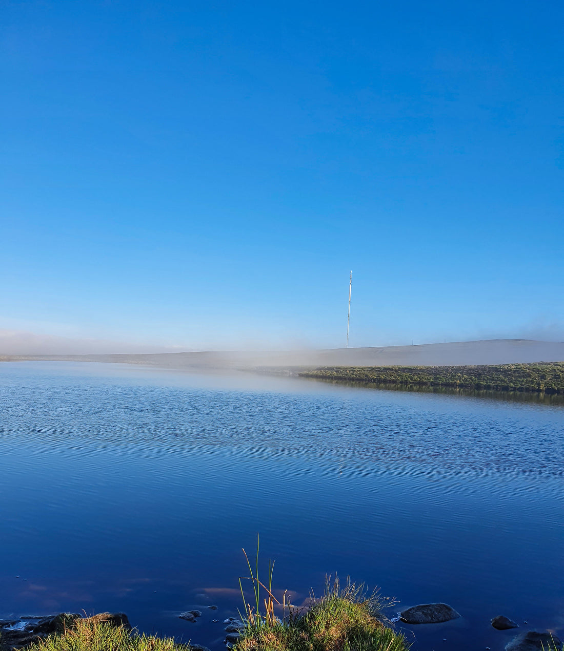 Finding Calm in the Cold