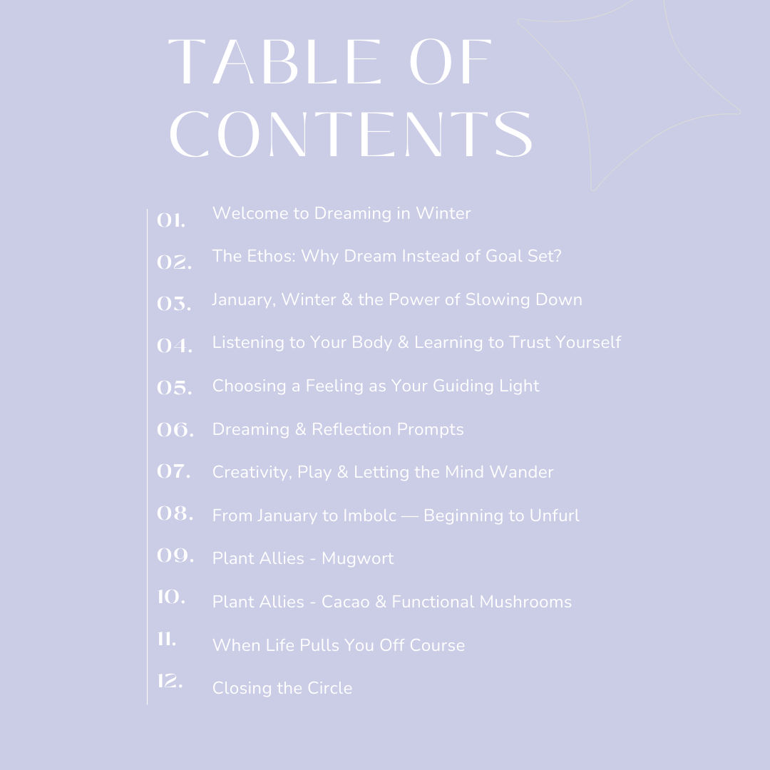 Dreaming in Winter – A Seasonal Companion (Digital PDF) | Slow Living, Reflection & Intuitive Guidance