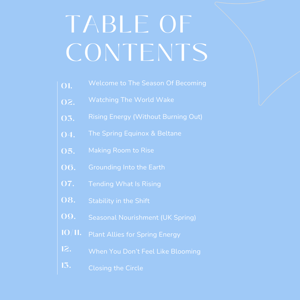Rising Into Spring – A Seasonal Companion (Digital PDF) | Sustainable Energy, Seasonal Living & Gentle Growth